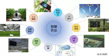 互聯網+農業 中國農業電商的春天真的來了